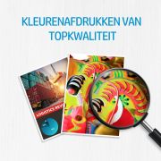 Voorbeeld afbeelding 6