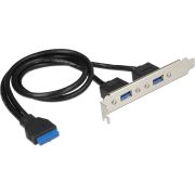 Delock 84836 19pins USB 3.0 moederbordconnector --> 2x USB 3.0 extern in bracket