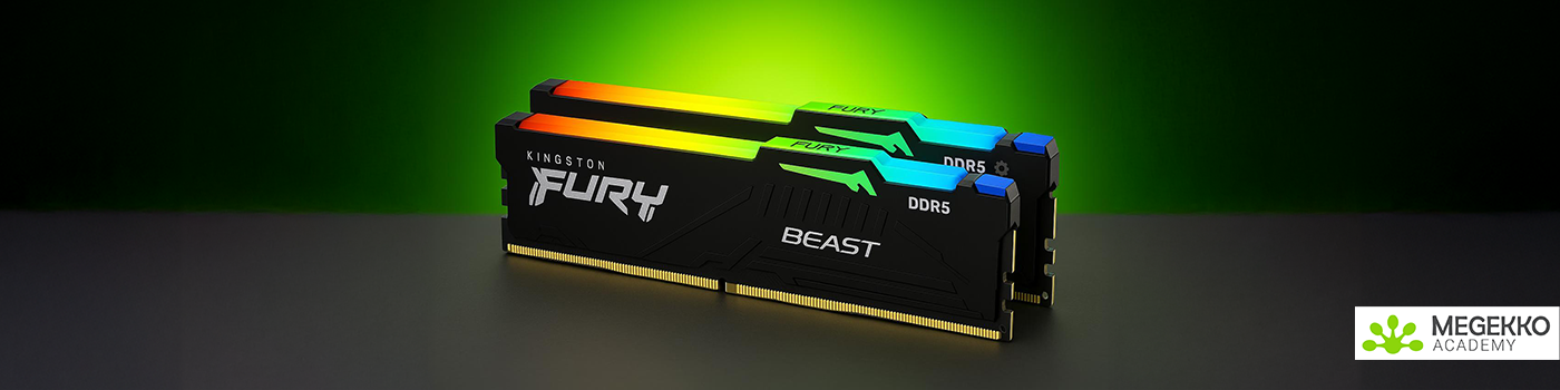 Top 5 NVIDIA videokaarten  | Megekko Academy